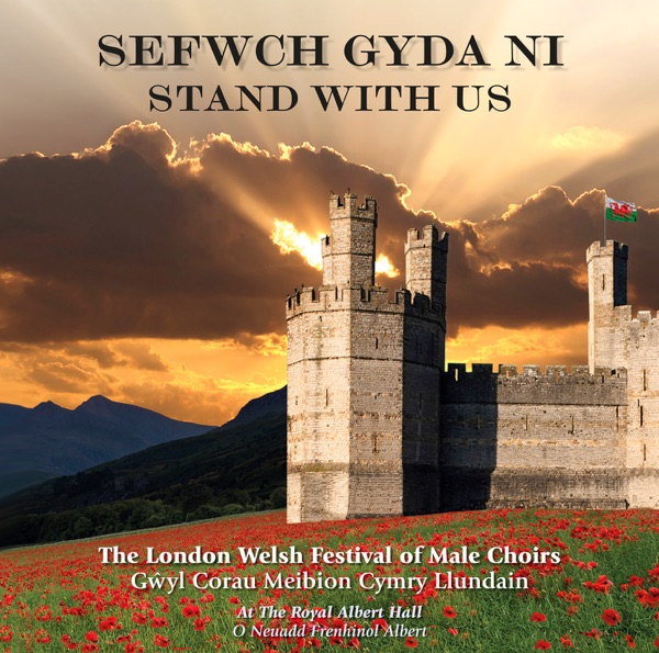 Stand With Us (Sefwch Gyda Ni) album cover