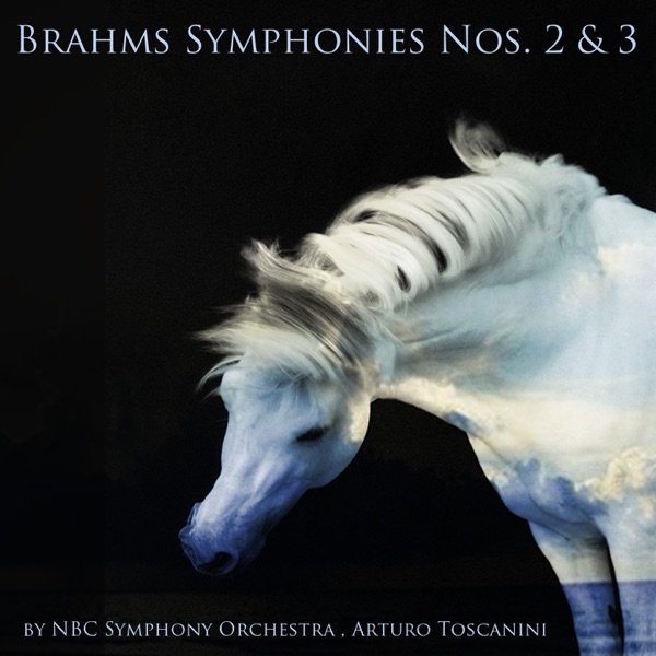 Brahms: Symphonies Nos. 2 & 3 album cover