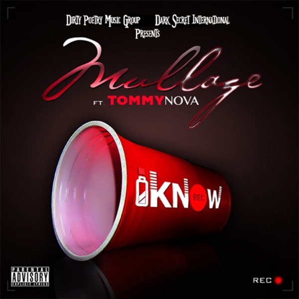 I Know (feat. Tommy Nova) - Single album cover