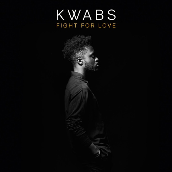 Fight for Love (Blonde Remix) [Radio Edit] - Single album cover