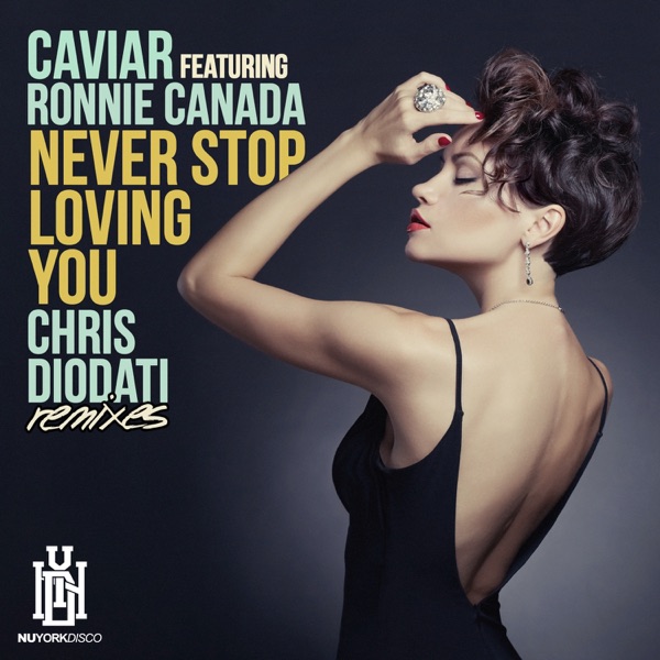 Never Stop Loving You (Chris Diodati Remixes) [feat. Ronnie Canada] - EP album cover