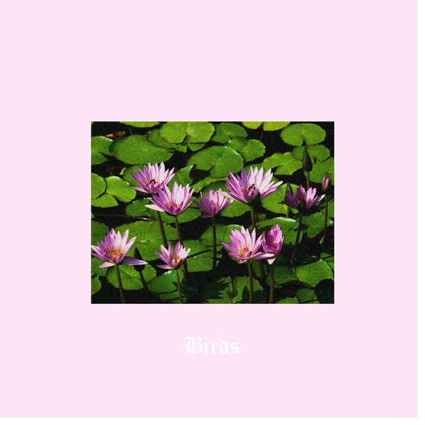 Birds - Single album cover
