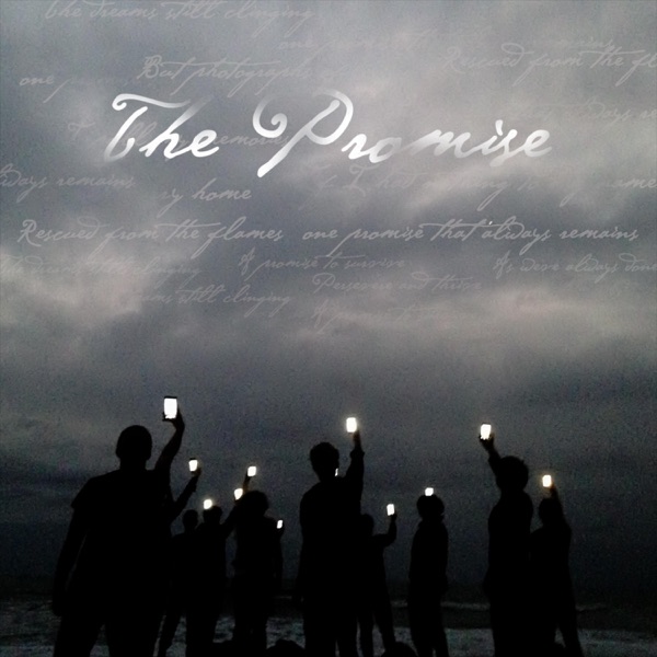 The Promise - Single album cover