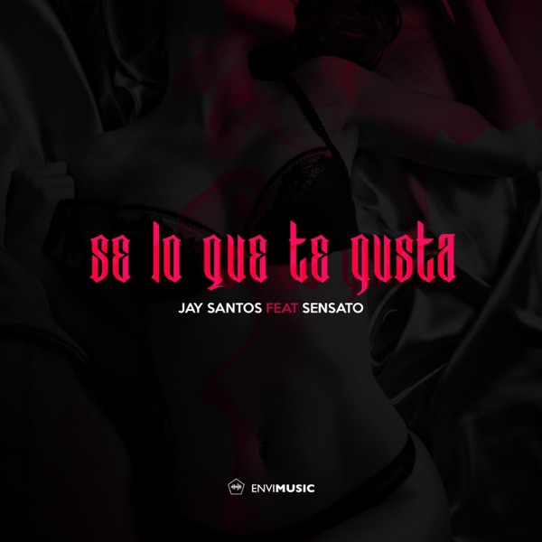 Sé Lo Que Te Gusta (feat. Sensato) [Radio Edit] - Single album cover