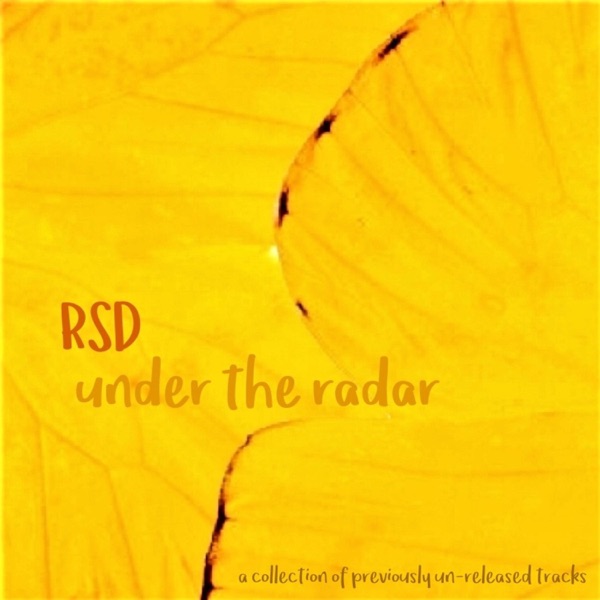 Under the Radar album cover