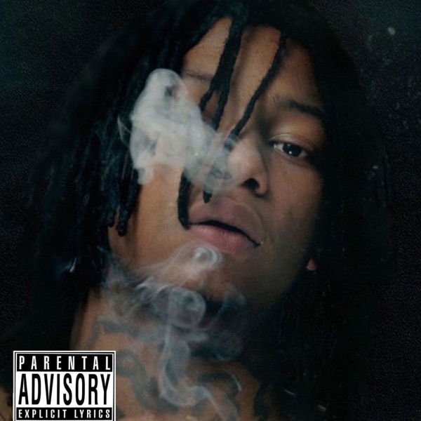 No Hard Feelings - Single album cover