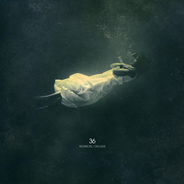 Reunion / Deluge - Single album cover