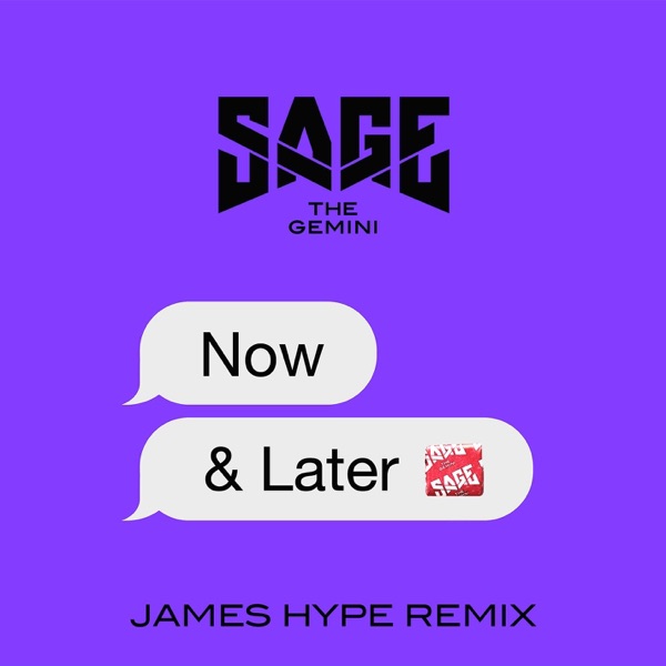 Now and Later (James Hype Remix) - Single album cover