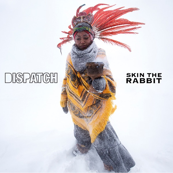 Skin the Rabbit (Edit) - Single album cover