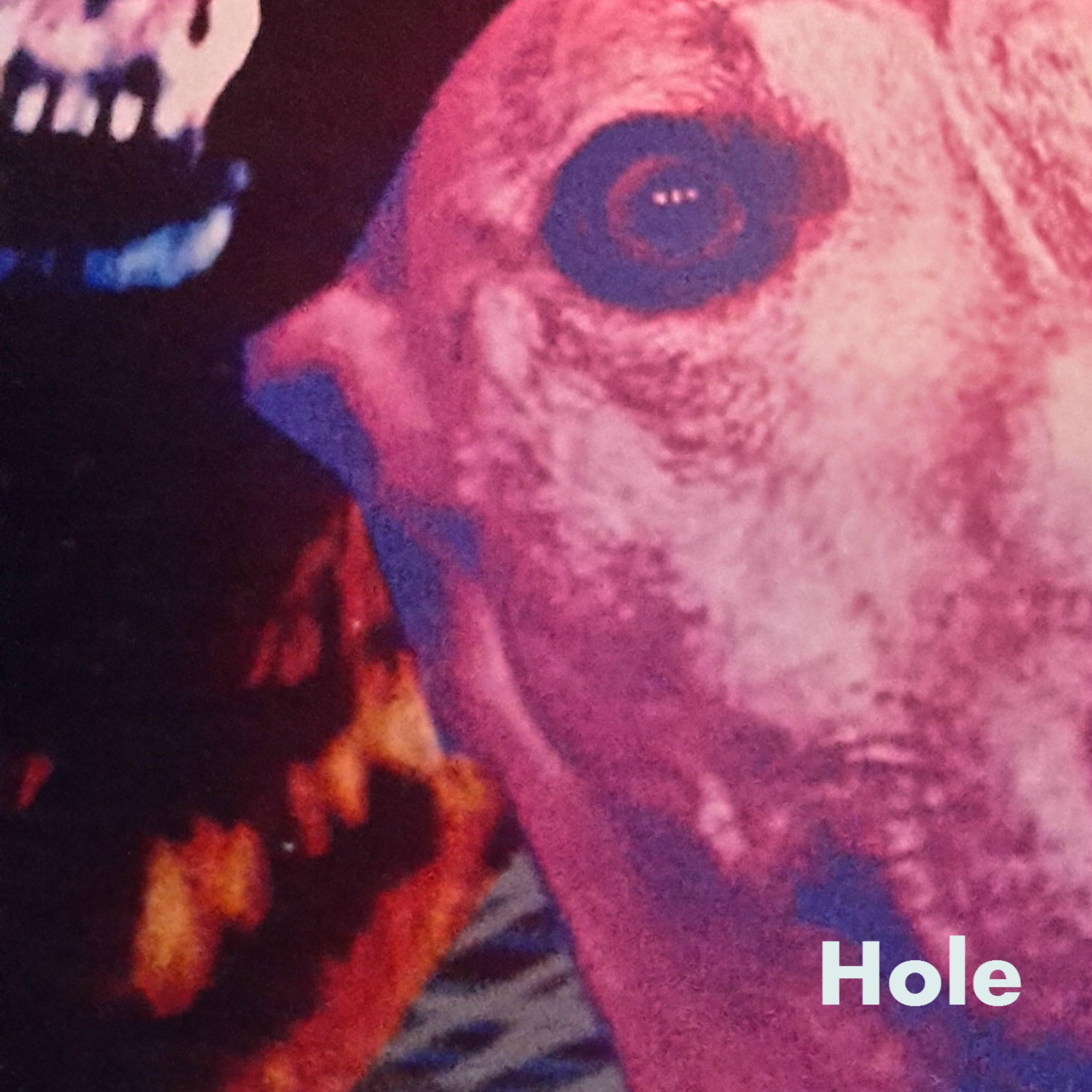 Hole - Single album cover