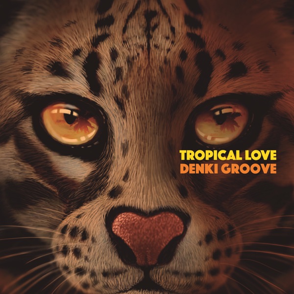Tropical Love album cover