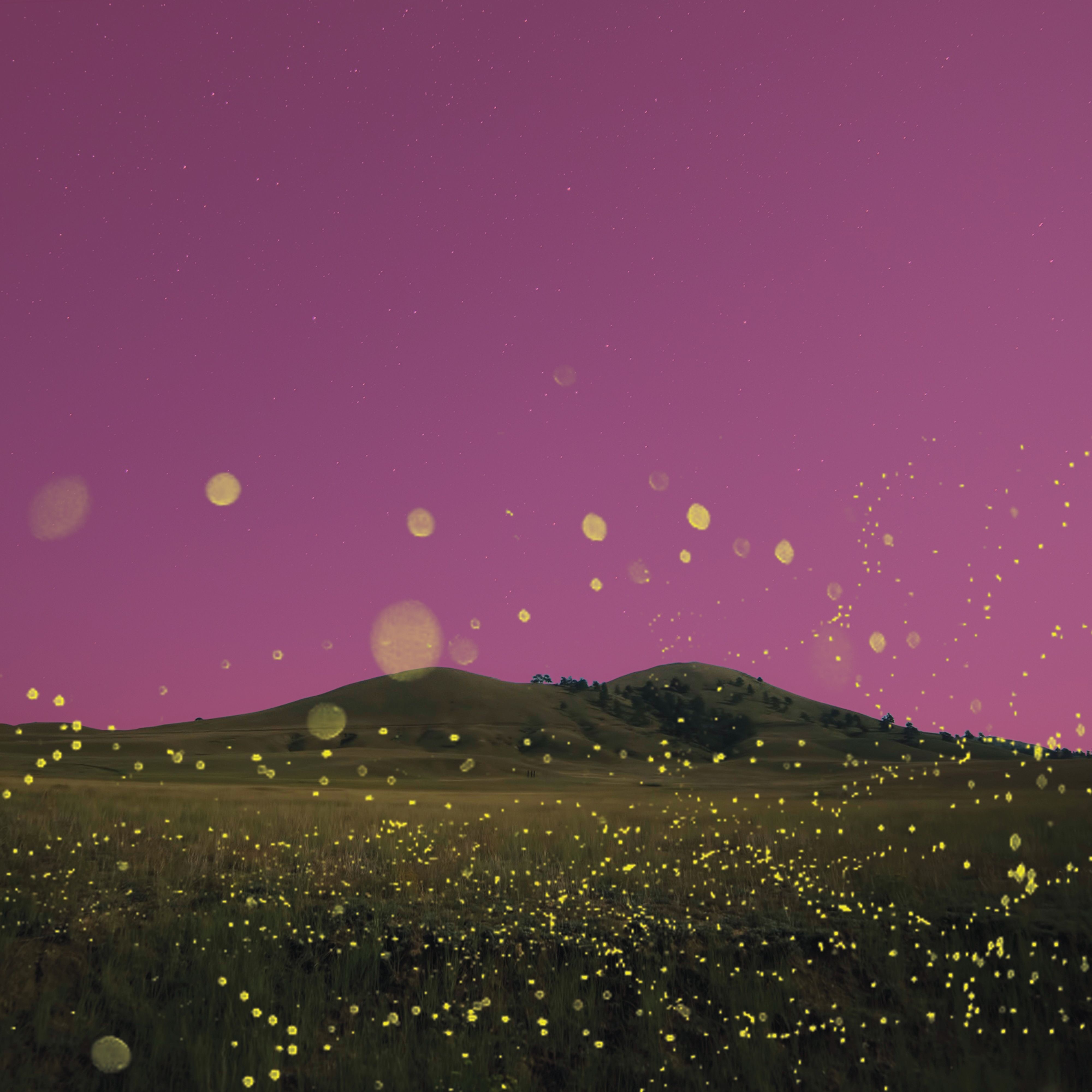 Chasing Flies (feat. Nea) - Single album cover