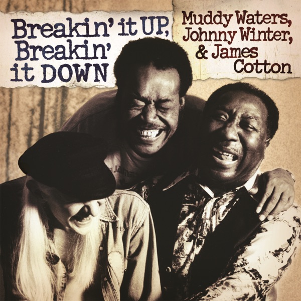 Breakin' It Up, Breakin' It Down (Live) album cover
