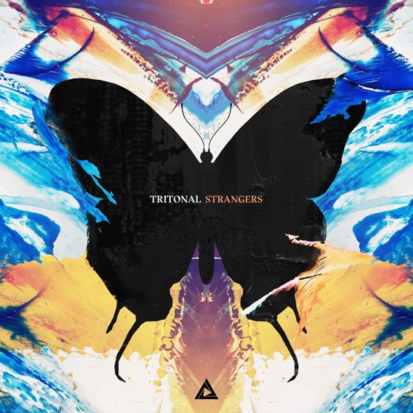 Strangers - Single album cover