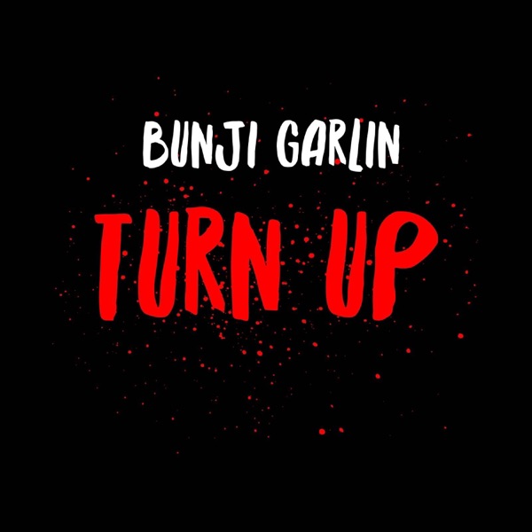 Turn Up - Single album cover