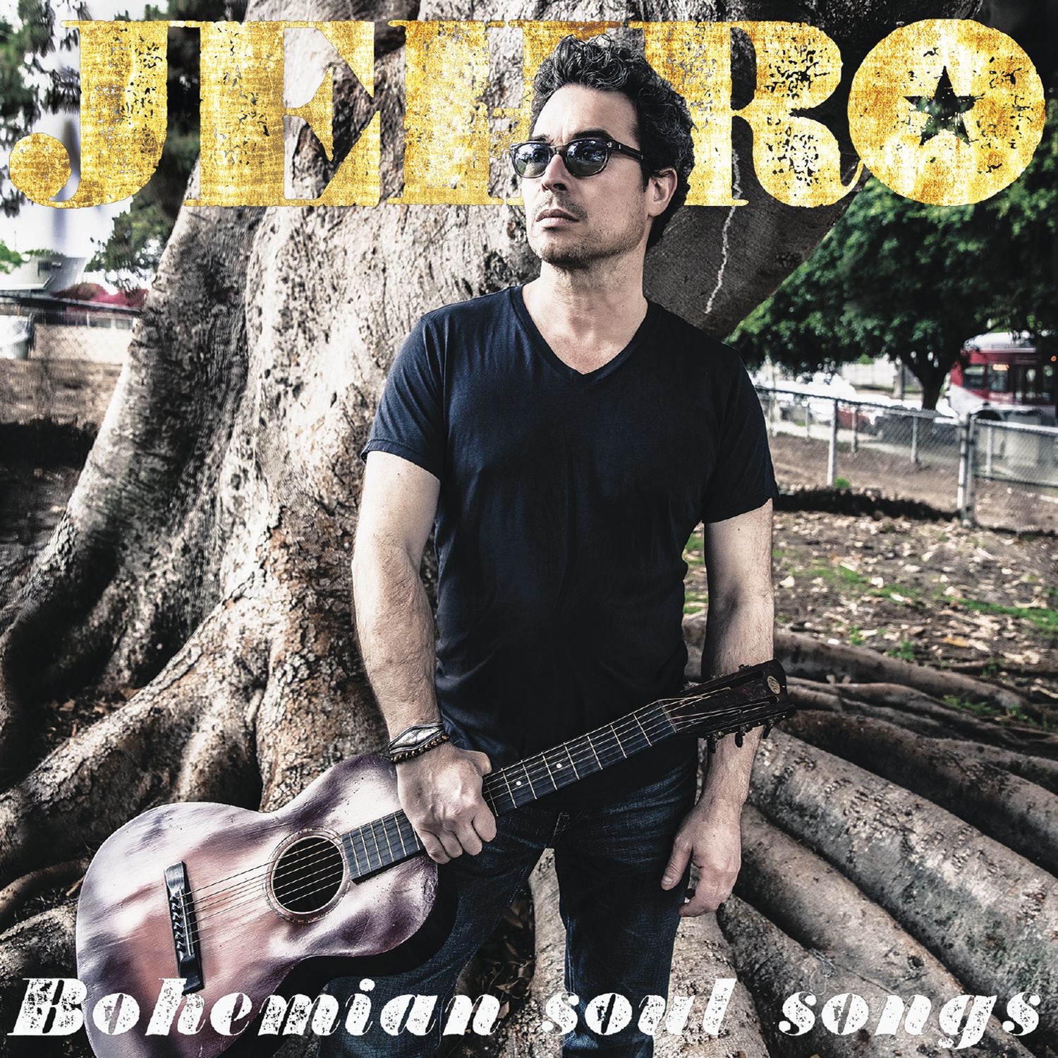 Bohemian Soul Songs album cover