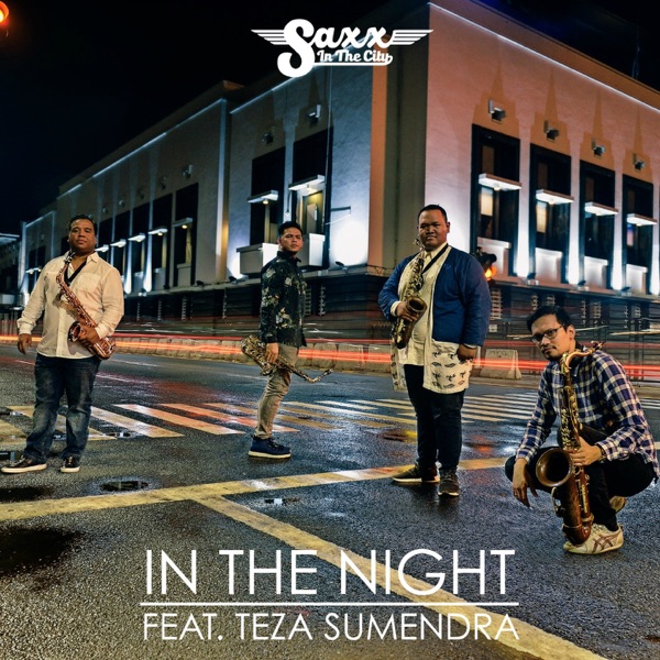 In the Night (feat. Teza Sumendra) - Single album cover