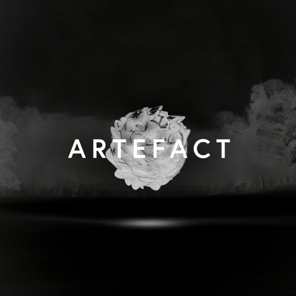 Artefact Remix - EP album cover