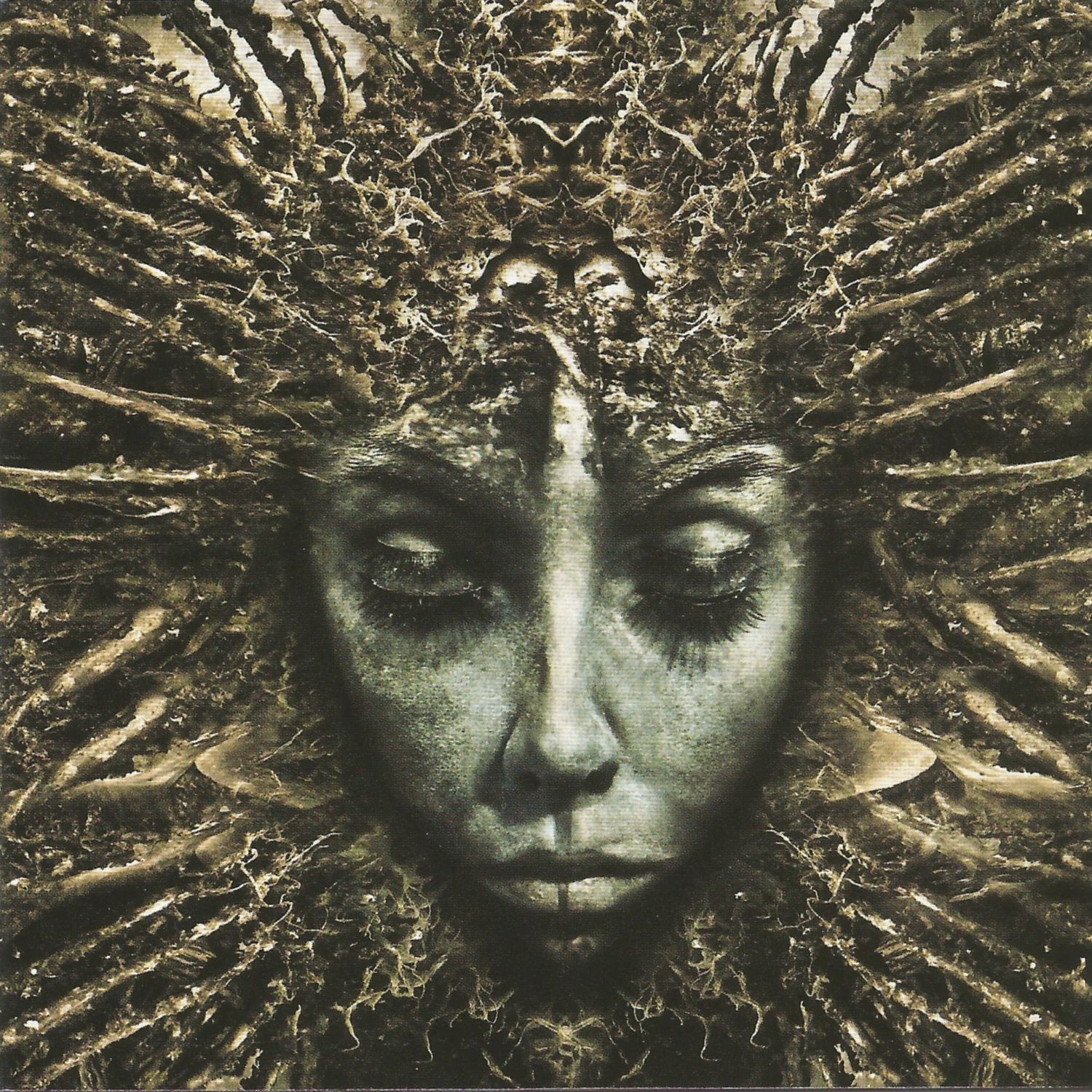 Black Days album cover