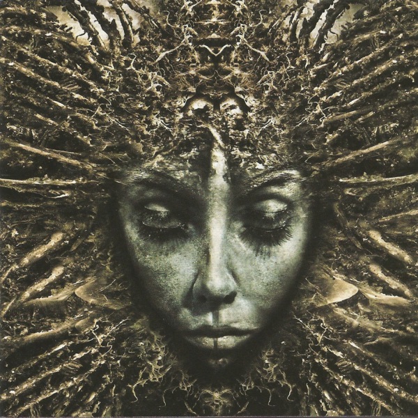 Black Days album cover