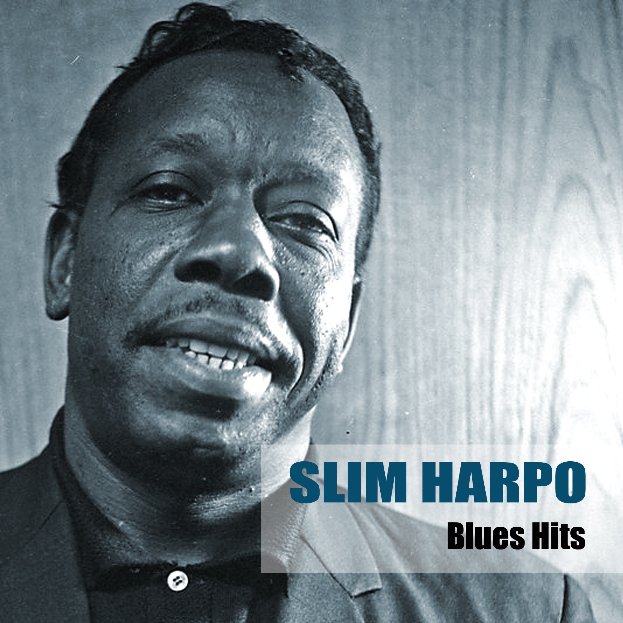 Blues Hits album cover