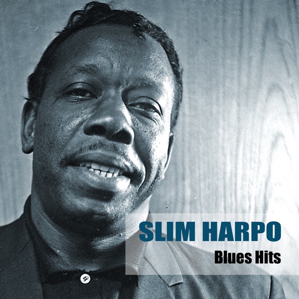 Blues Hits album cover