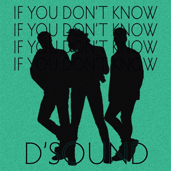 If You Don't Know - Single album cover