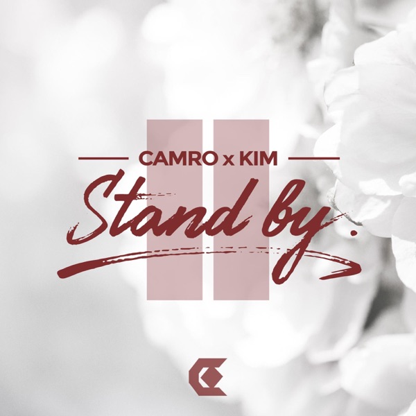Stand By (feat. Kim) - Single album cover
