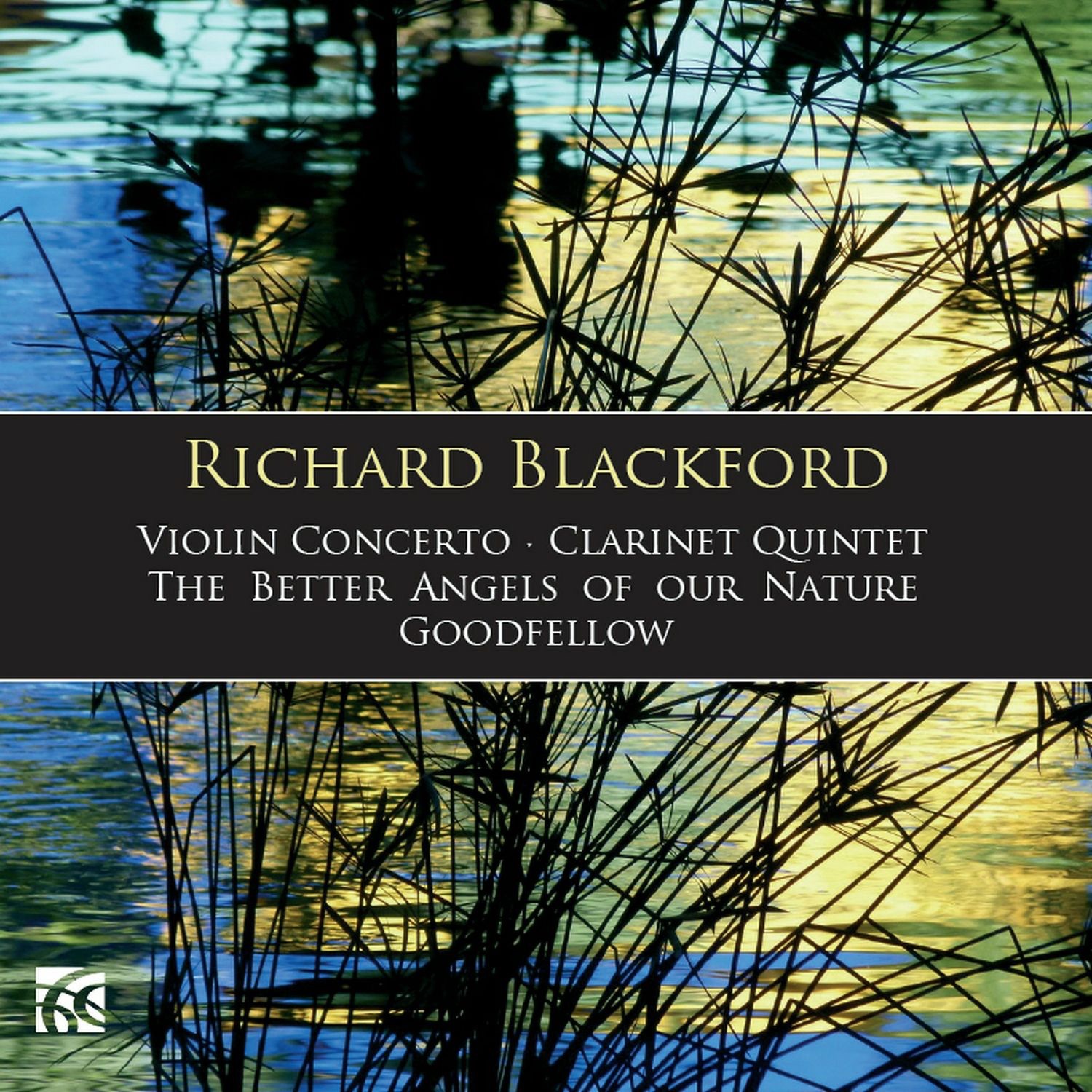 Richard Blackford: Instrumental Works album cover
