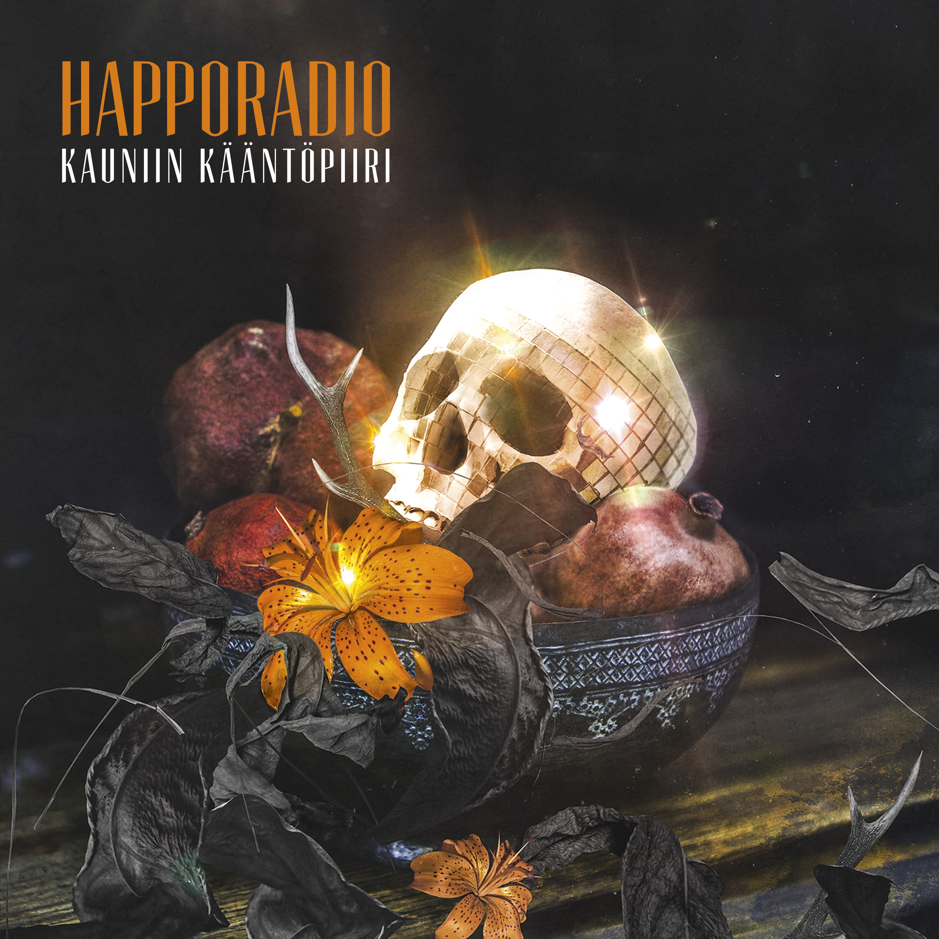 Kauniin kääntöpiiri album cover
