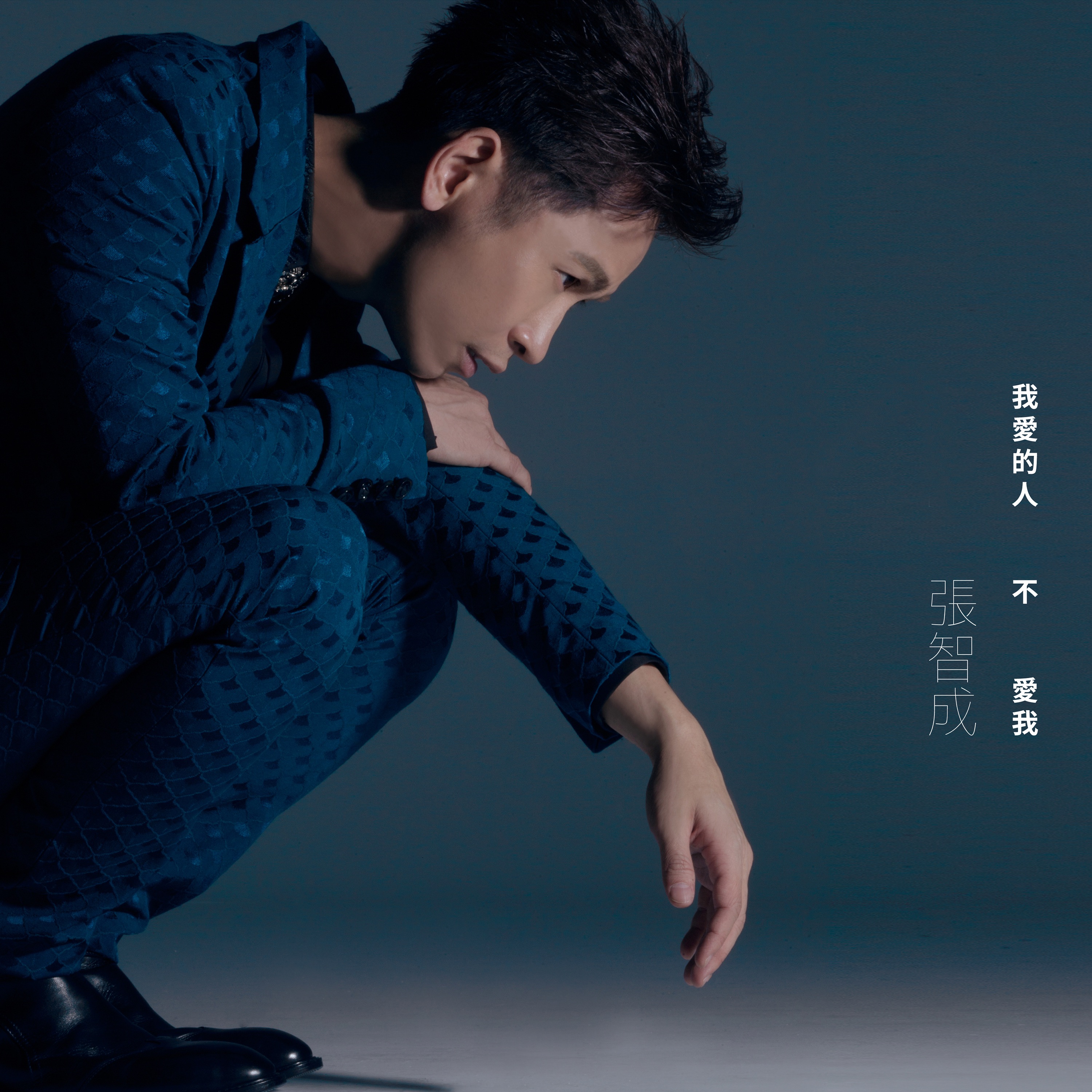 我愛的人不愛我 - Single album cover