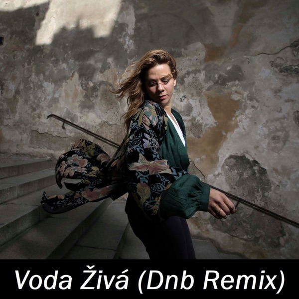 Voda Živá (Dnb Remix) - Single album cover