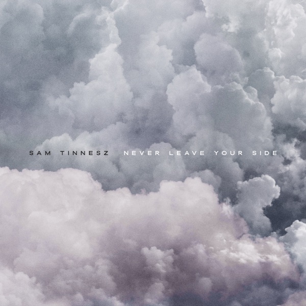 Never Leave Your Side - Single album cover