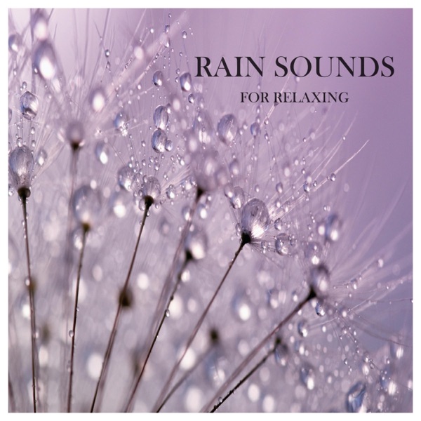 Rain Sounds for Relaxing album cover