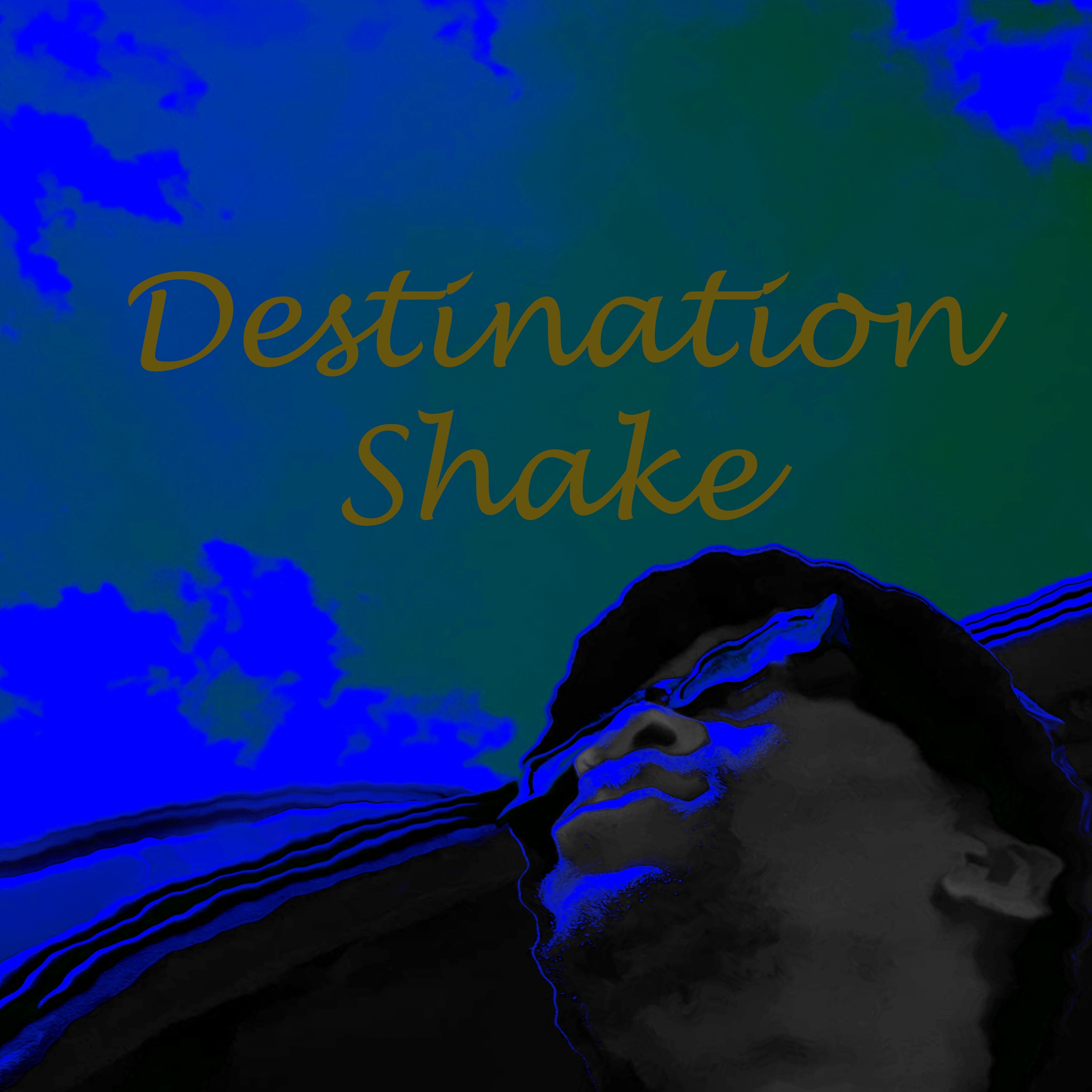 Shake (Demo) - Single album cover