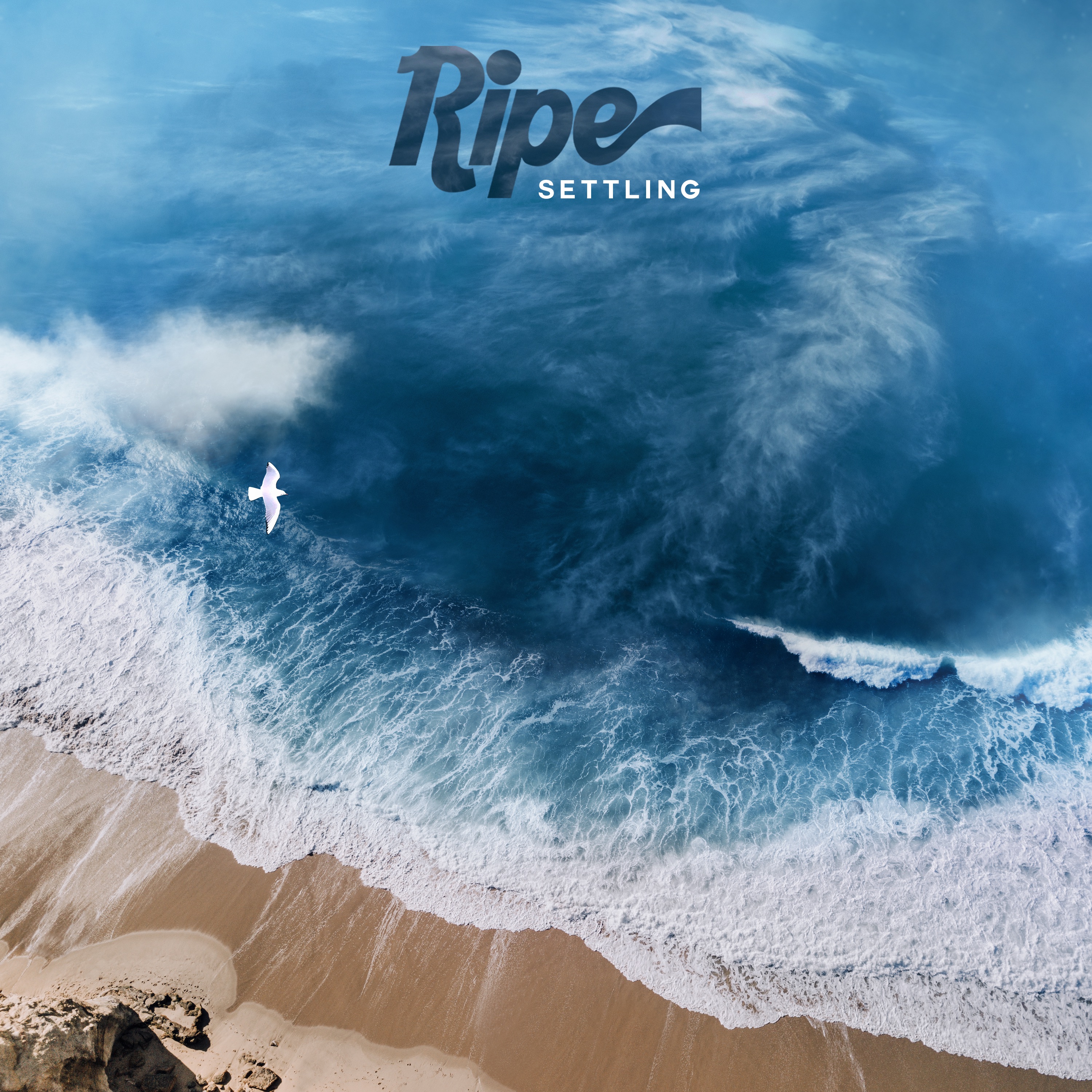 Settling - Single album cover