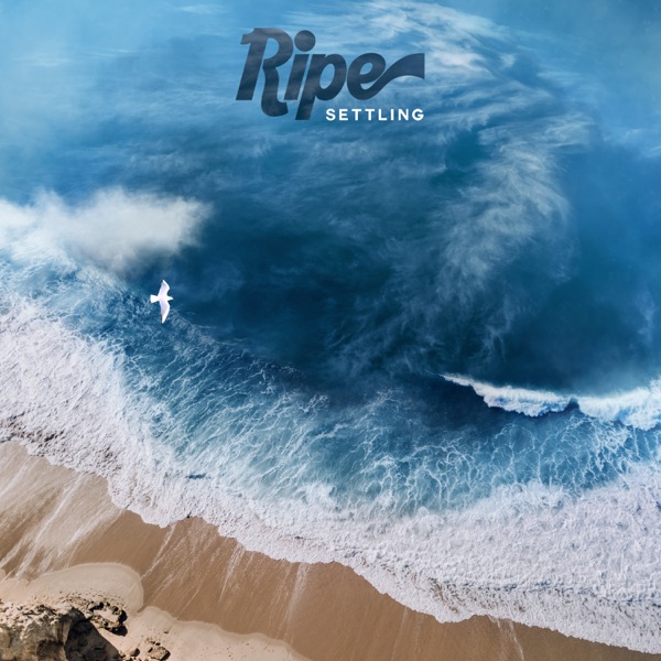 Settling - Single album cover