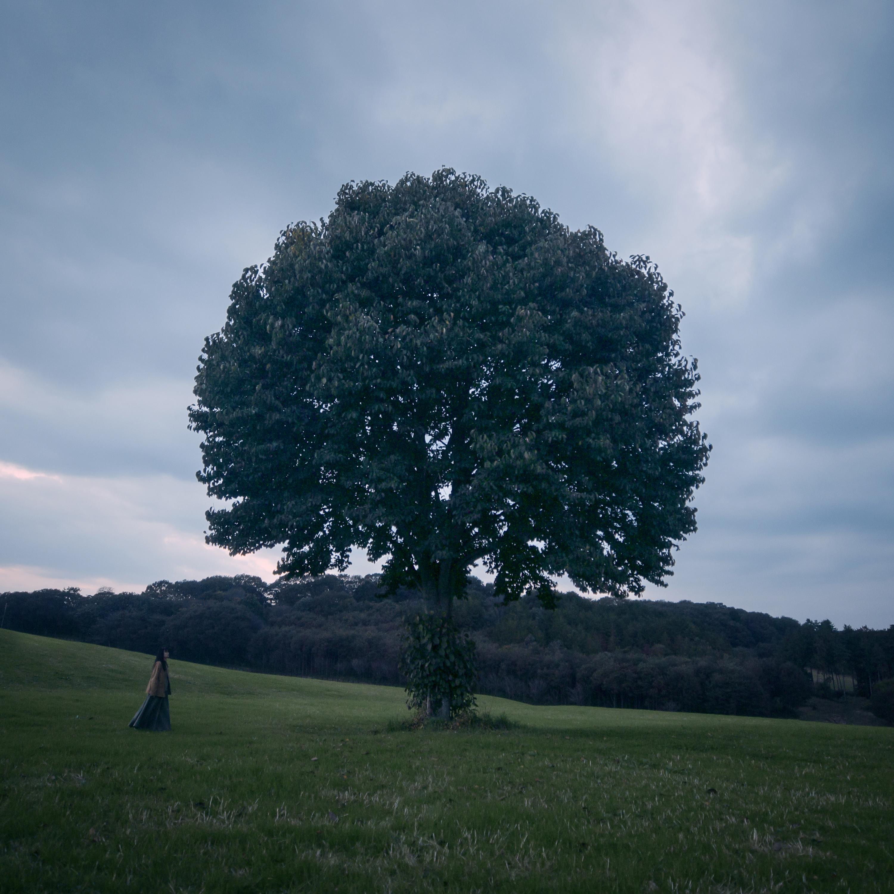 A Walk in the Woods (Original Motion Picture Soundtrack) album cover