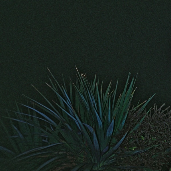 Phoenix - Single album cover