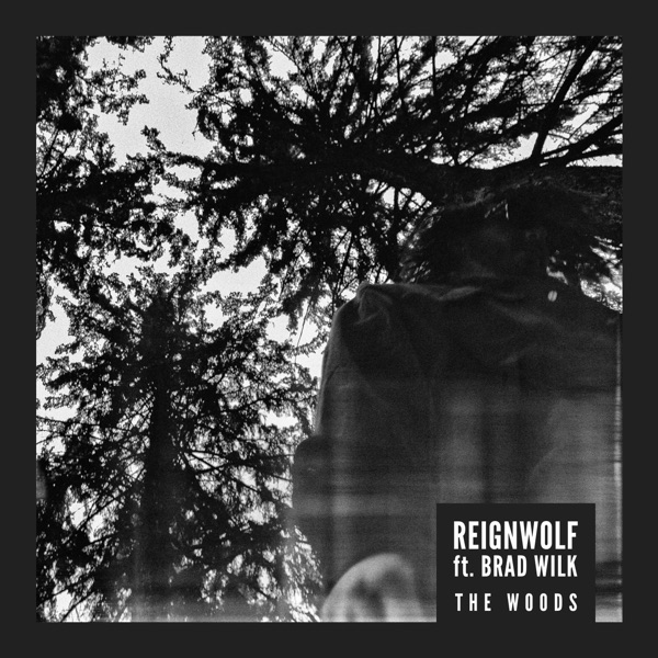 The Woods (feat. Brad Wilk) - Single album cover