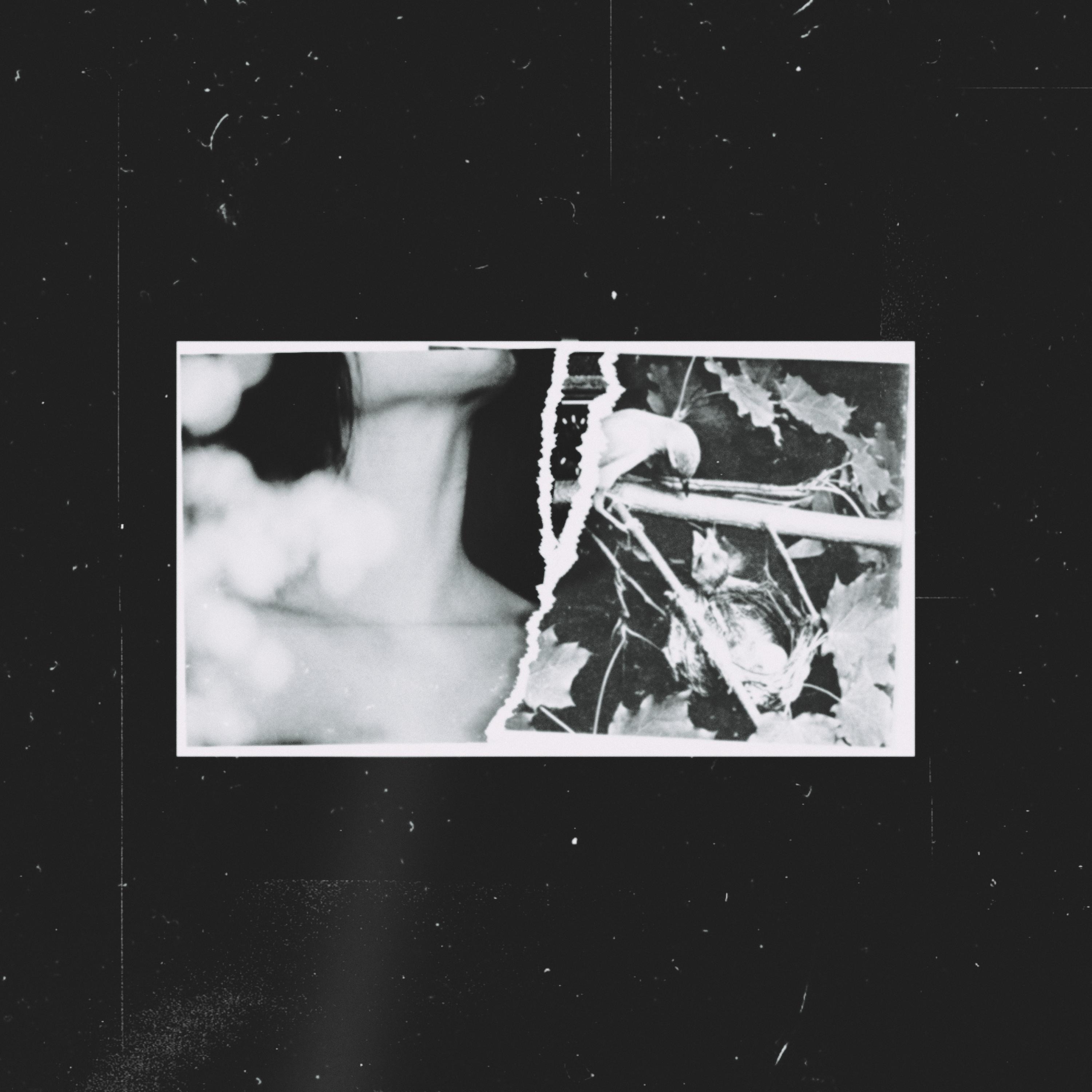 143 (Jcm) - Single album cover