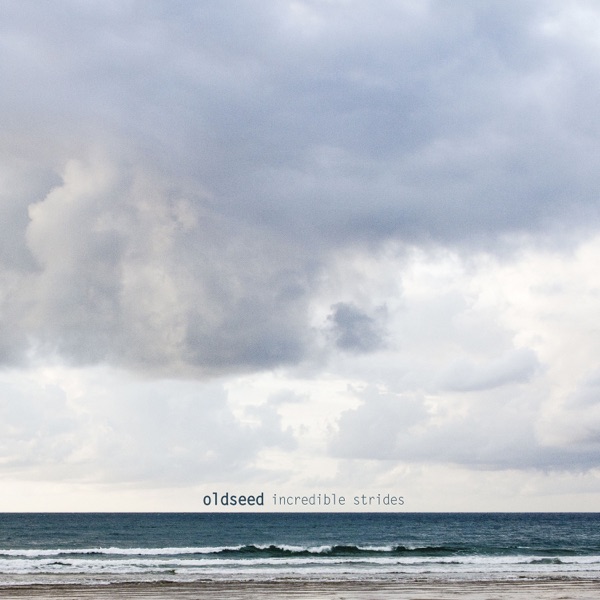 Incredible Strides album cover