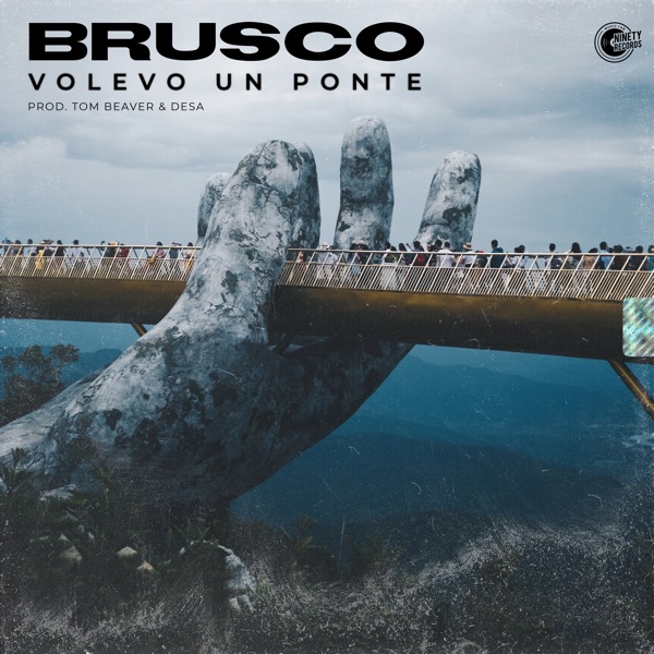 Volevo Un Ponte - Single album cover