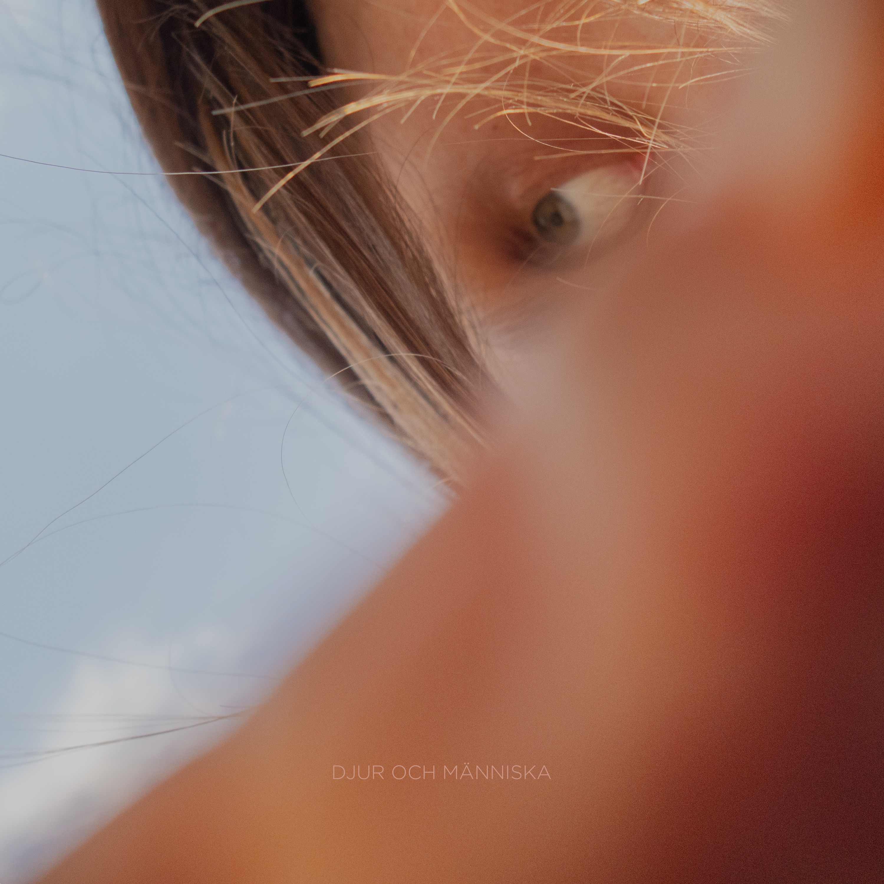 Djur och människa album cover