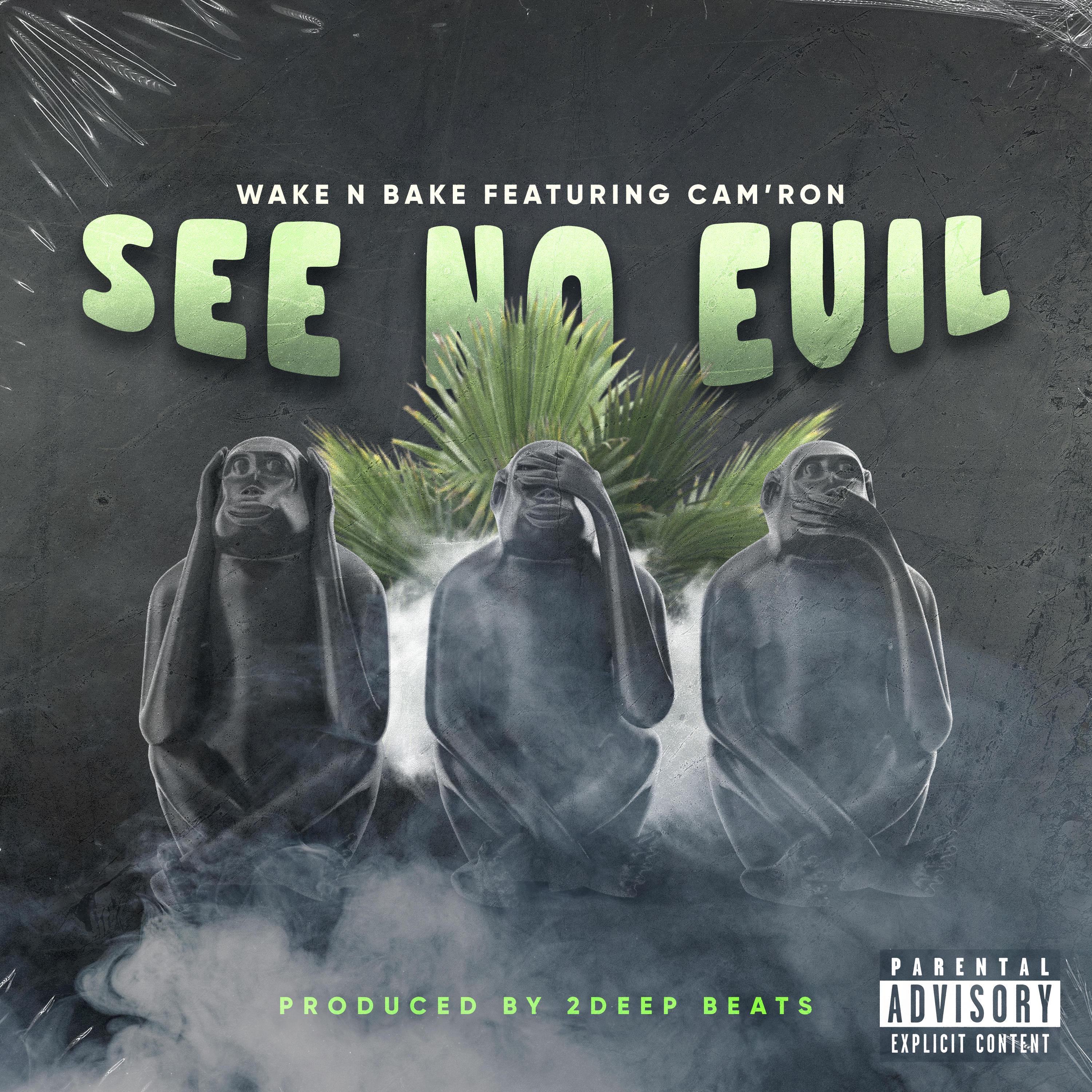See No Evil (feat. Cam'ron) - Single album cover