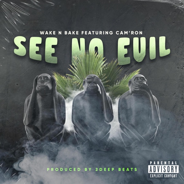 See No Evil (feat. Cam'ron) - Single album cover