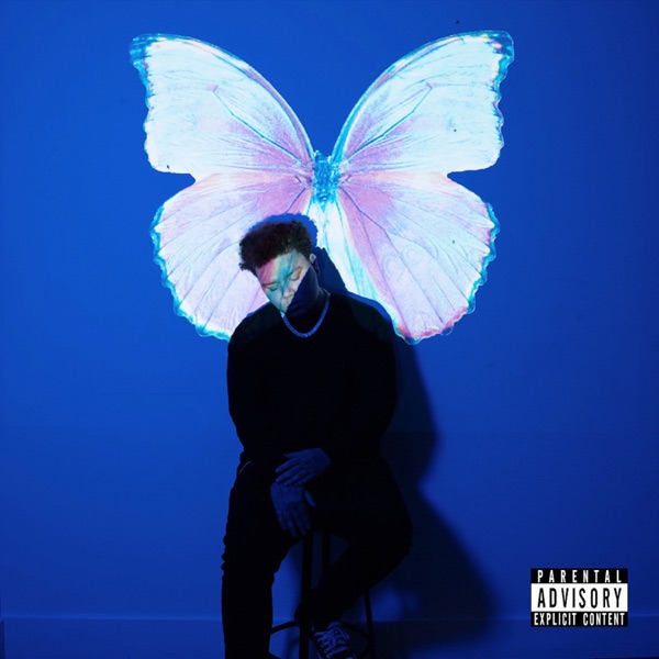 The Butterfly Effect album cover