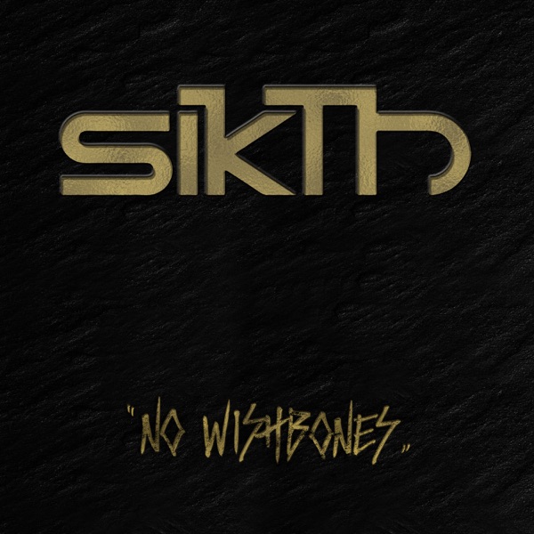No Wishbones - Single album cover