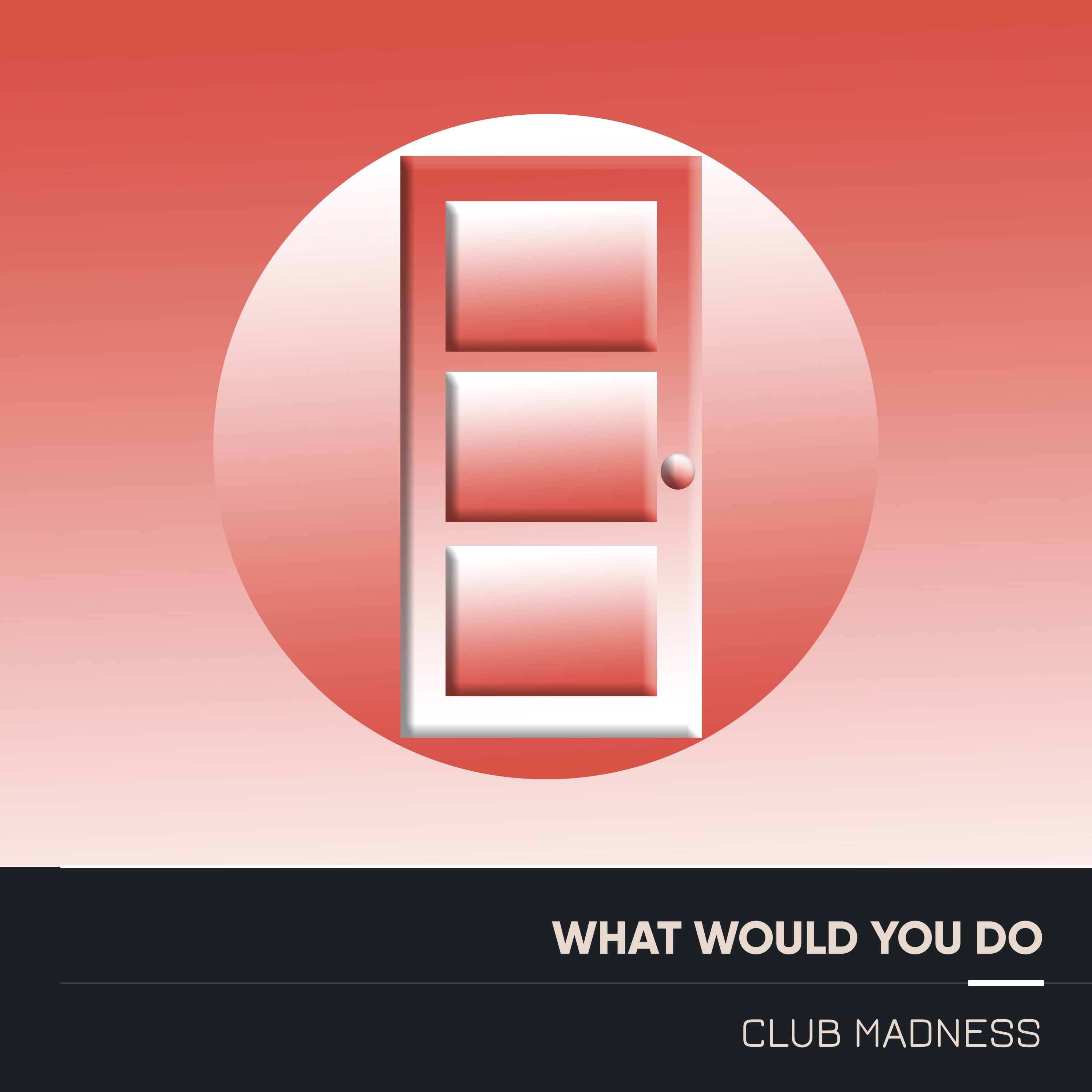 What Would You Do (Electro Acoustic Mix) - Single album cover