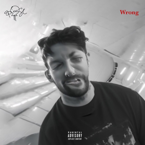 Wrong - Single album cover